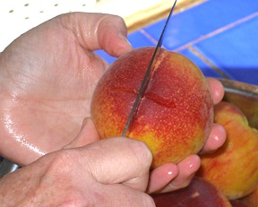 Place peaches, a few at a time, into the boiling water. Have your ...