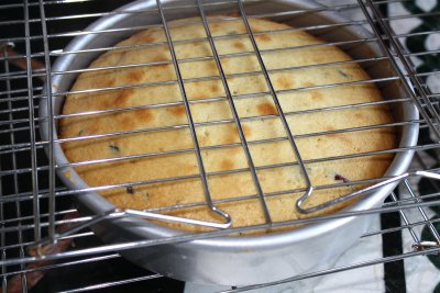 How to Get a Stuck Cake out of the Pan CraftyBaking Formerly