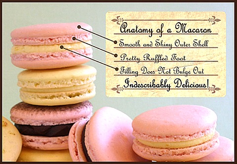 French Macaron Cookies Craftybaking Formerly Baking911