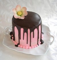 Cherry Pink Tuxedo Mini-Cake and Cupcakes Recipe Tutorial