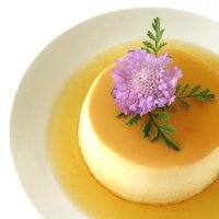 Vanilla Flan with Caramel Sauce Tutorial