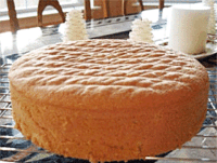 Basic Genoise Cake Tutorial
