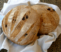 Kalamata Olive and Rosemary Boule Recipe