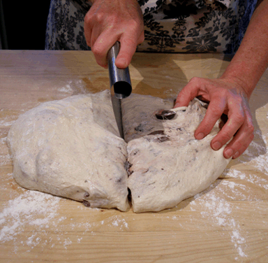 oliveboule14