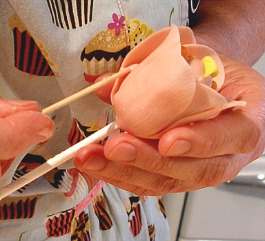 Chef's Recipe: Springtime Cake Pops - Charlotte Magazine