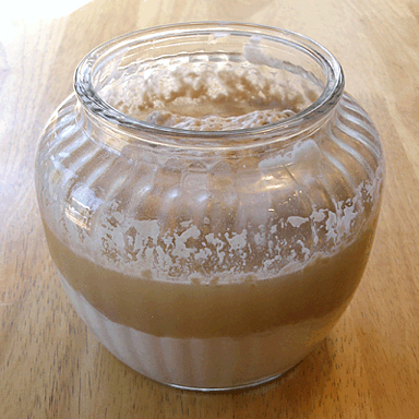 Nancy Silverton's Grape Sourdough Starter